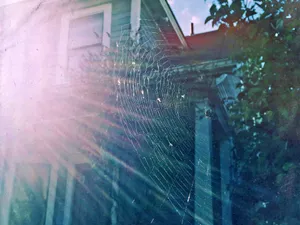 Intricate Cobweb Patterns On A Moody Background Wallpaper