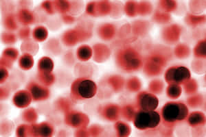 Intricate Detail Of Red Blood Cells Wallpaper