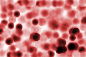 Intricate Detail Of Red Blood Cells Wallpaper