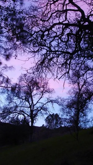 Intricate Purple Gothic Castle Design Wallpaper