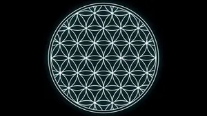 Intricate Sacred Geometry Patterns Wallpaper