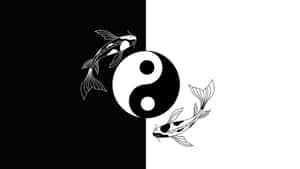 Intricate Yin Yang Fish Symbol Wallpaper