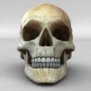 Intriguing 3d Skull Art On Black Background Wallpaper