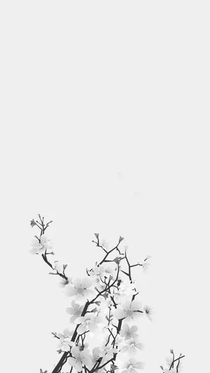 Intriguing Monochrome Bloom Wallpaper