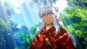 Inuyasha In A Forest Wallpaper