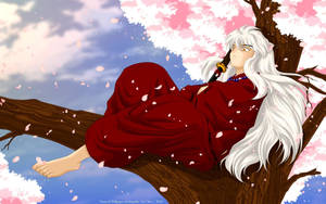 Inuyasha In Cherry Blossom Tree Wallpaper