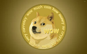 Invest In Doge - You Won't Be Disappointed! Wallpaper