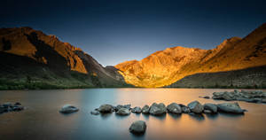 Inyo National Forest California Wallpaper