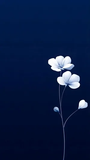 Ios 26 Minimalist Flower Wallpaper Wallpaper