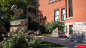 Iowa State University Anderson Sculpture Garden Wallpaper