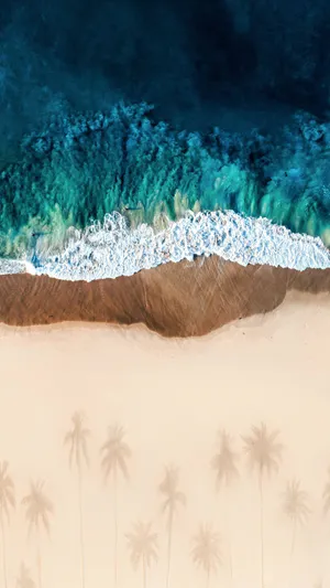 Ipad Pro Beach Shore With Tree Shadows Wallpaper