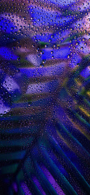 Iphone 15 Pro Max Wallpaper Wallpaper