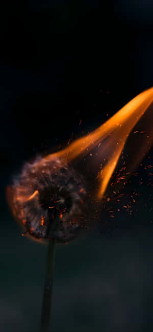 Iphone 16 Plus Stunning Fire Capture Wallpaper