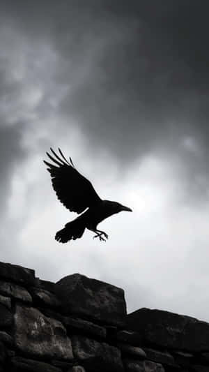 Iphone 16 Pro Low Light Capture Wallpaper