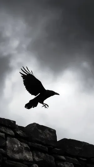 Iphone 16 Pro Low Light Capture Wallpaper