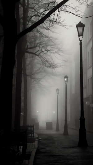 Iphone 16 Pro Night Mode Wallpaper