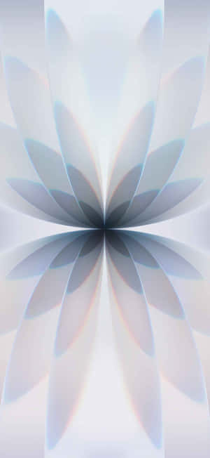 Iphone 17 1206 X 2622 Wallpaper Wallpaper