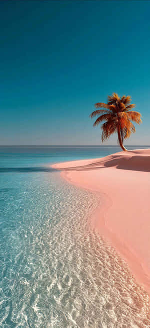 Iphone 17 1206 X 2622 Wallpaper Wallpaper