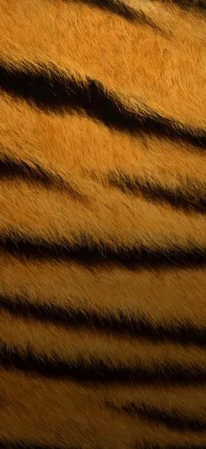 Iphone 17 Pro Max Display Wallpaper