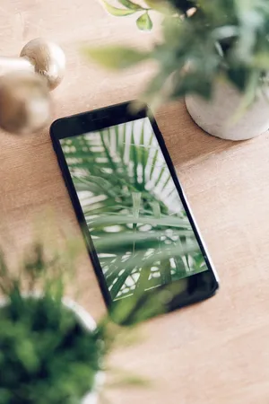 Iphone Desk With Plants Wallpaper