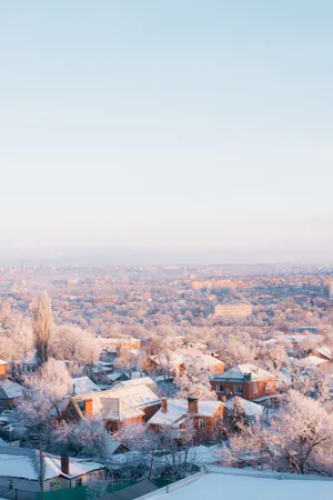 Iphone Lock Screen Snow Trees Wallpaper