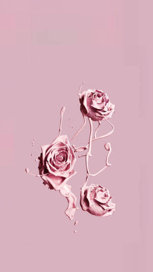 Iphone Pink Aesthetic Rose Paint Wallpaper