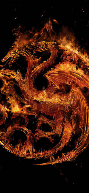 Iphone Three-head Dragon Fire Wallpaper