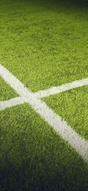 Iphone X Original White Borders On Grass Wallpaper