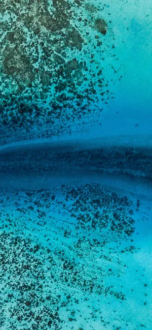 Iphone Xs Ocean Coral Reefs Wallpaper