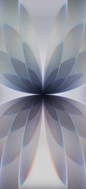 Iphone17 Abstract Flower Wallpaper Wallpaper