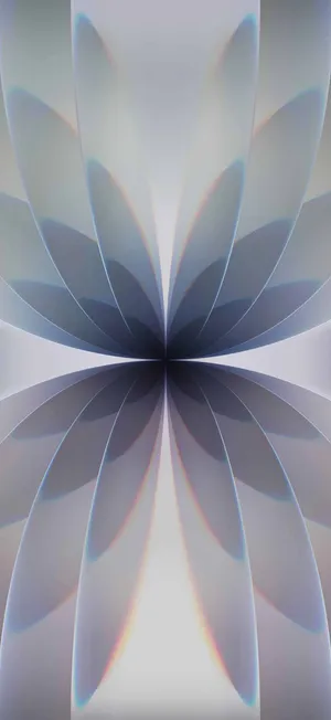 Iphone17 Abstract Flower Wallpaper Wallpaper