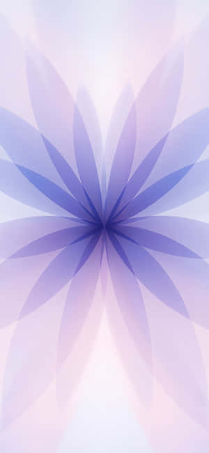 Iphone17 Wallpaper Floral Gradient Wallpaper