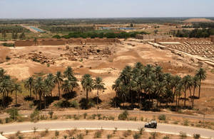 Iraq Hillah Trees Aerial Wallpaper