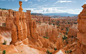 Irregular Columns Of Rock Bryce Canyon National Park Wallpaper