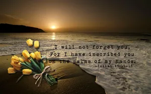 Isaiah 49:15 Bible Verse Laptop Wallpaper
