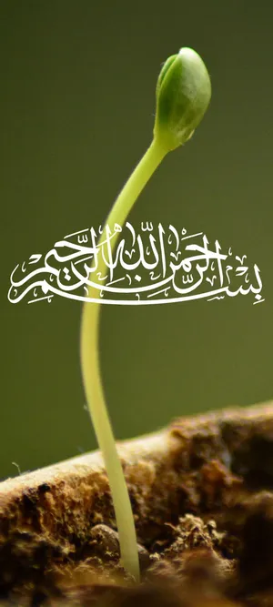 Islamic Calligraphy Sprout Growth.jpg Wallpaper