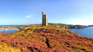 Isle Of Mann Manx Hill Wallpaper