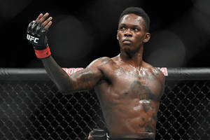 Israel Adesanya In Ufc Cage Wallpaper