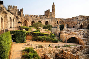 Israel Tower Of David Wallpaper