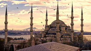 Istanbul's Sultan Ahmed Mosque In Turkey Wallpaper