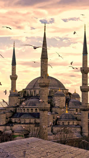 Istanbul Sunset Mosque Silhouette Wallpaper