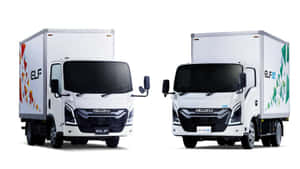 Isuzu Elf Box Truck Models Wallpaper