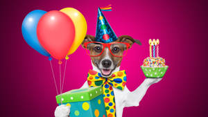 It's My Birthday Dog Glasses Wallpaper