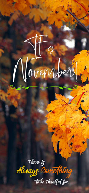 It's November Autumn Trees Quote Wallpaper