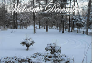 It's The Most Wonderful Time Of The Year! Wallpaper