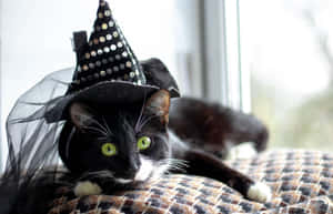 It's Time To Dress Up! Get Your Furry Trick-or-treaters Ready For Halloween With Pet Costumes!