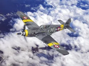 Italian Co Belligerent Air Force Wallpaper