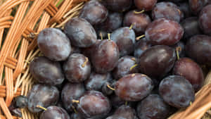 Italian Prune Plum With Distinctive Egg Shape And Dark Skin Wallpaper