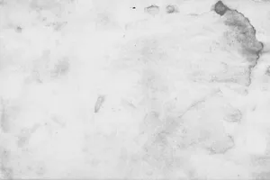 Ivory White Grunge Texture Wallpaper