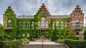 Ivy Covered University Building Lund Sweden Wallpaper